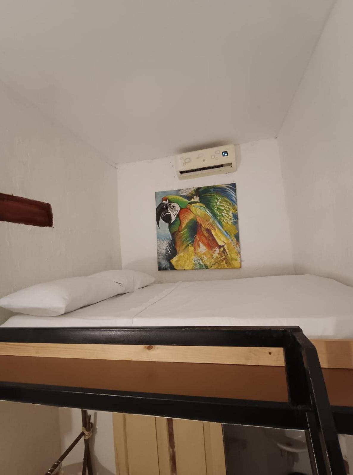 Lotus Central Hotel Santa Marta  Ngoại thất bức ảnh
